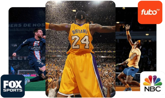 honey bee iptv reseller